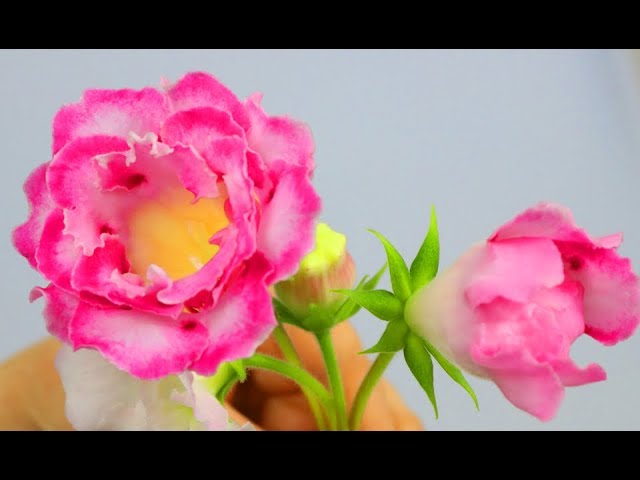 Купить Семена Глоксиний У Яны Федоровой