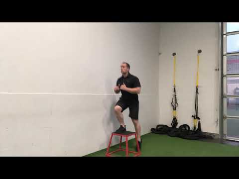 Bodyweight Step Up - 18 Inch Box