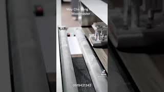 Máy chà nhám băng cnc Woodmaster