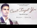 Arjun: Can't Forget You (Tujhe Bhula Diya) Full AUDIO Song ft. Jonita Gandhi | T-Series