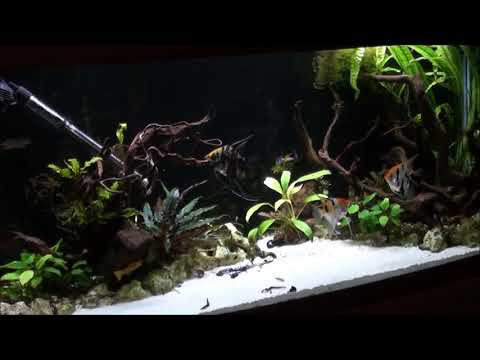 AKWARYSTYKA-JAK ZABEZPIECZYC FILTR ZEWNETRZNY PRZED WYCIEKIEM