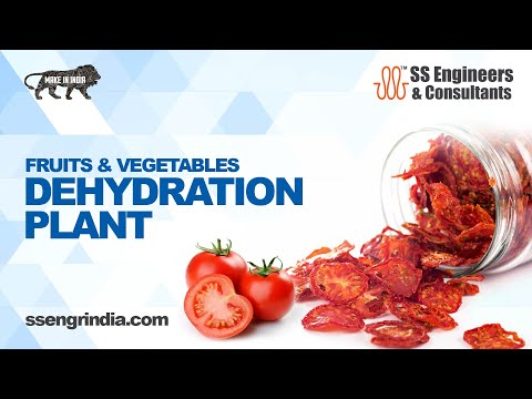 The Art of Dehydrating Fruits Vegetables and Herbs