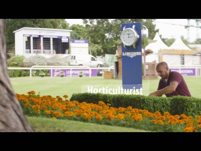 A career in the Horse Racing Industry