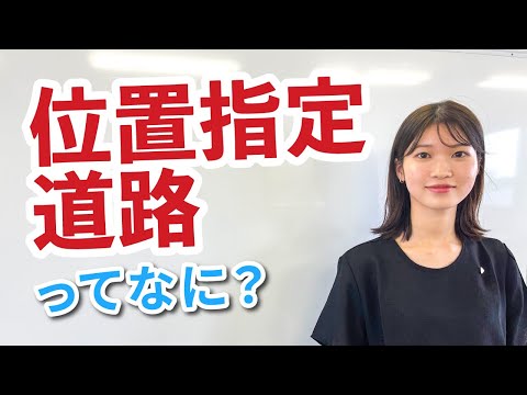 ヨーロッパ横断道路 E20 (ここデンマーク)、非常に交通量が多く、環境景観の分断の要因となっている