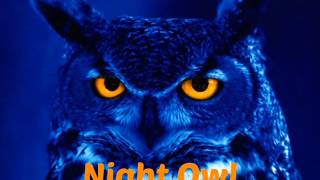 Leslie Brown demo      NIGHT OWL