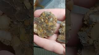 Download lagu Conglomerates Don't Get Enough Love... #Conglomerate #Crystals #Agate #Jasper #Quartz #Nature #vibes mp3