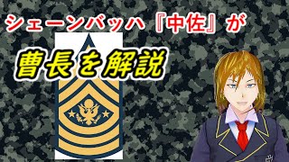 【ミリタリー解説】曹長について解説してみた(その勇者 怒らすべからず)【Vtuber】