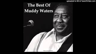 Muddy Waters - She Moves Me (Remastered)