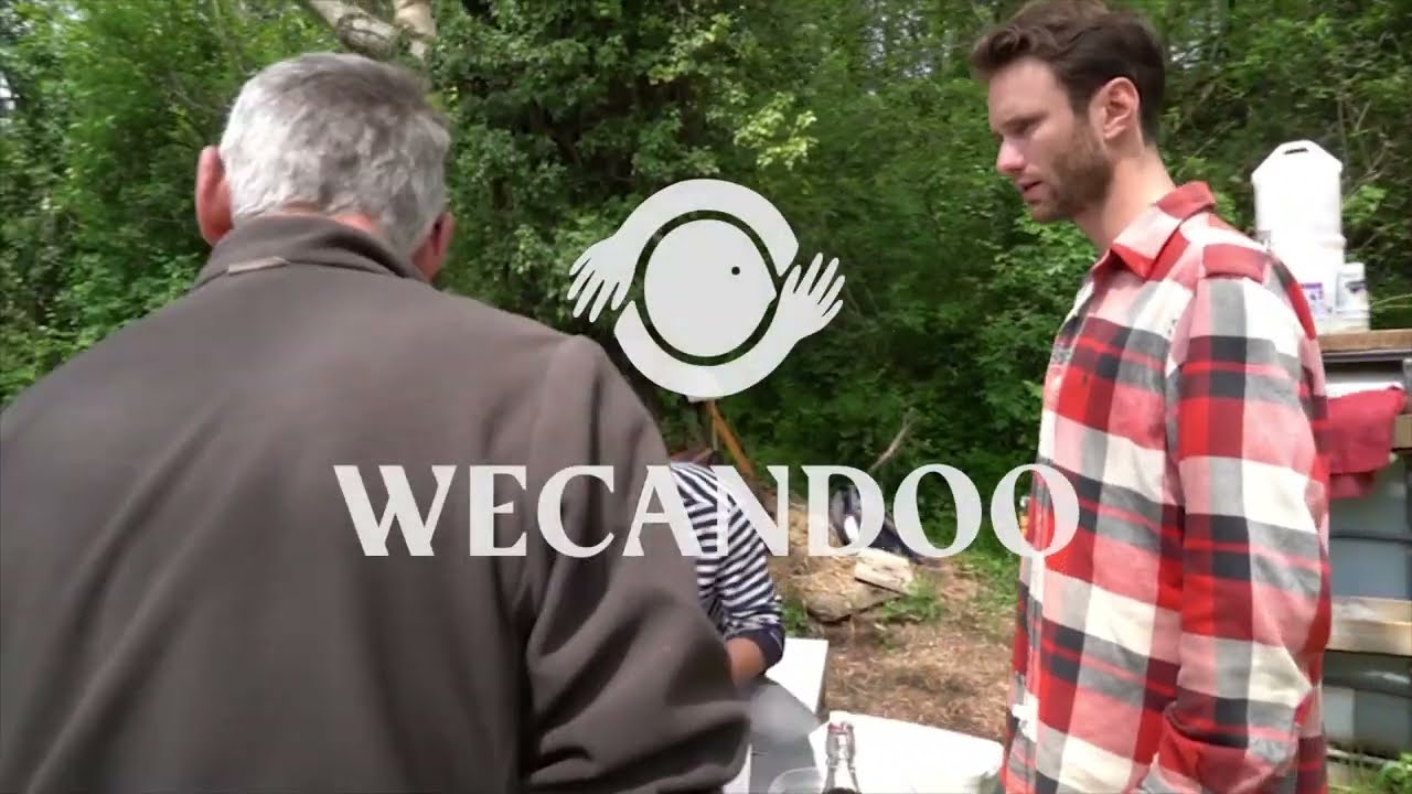 Réalisez votre repas et pâté végétal à base de plantes surprenantes - Video