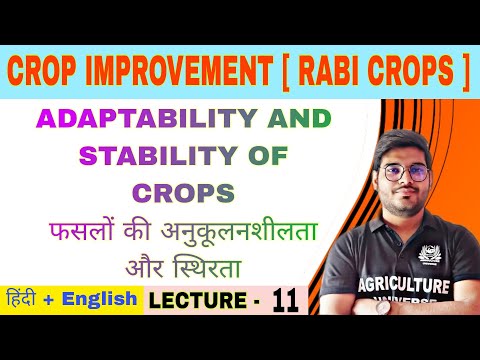 Crop Improvement rabi crops syllabus analysis bsc av 6th semester