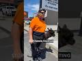 Most Aussie Interaction Ever (No Commentary Needed).