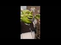 El Multiverso De Shrek Shorts