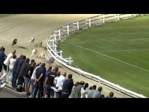 2022.05.20. 05. futam - Májusi Trófea