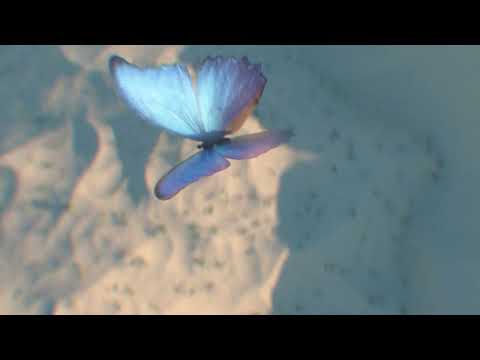 NAVI99 - O [M/V 3D CG/VFX]