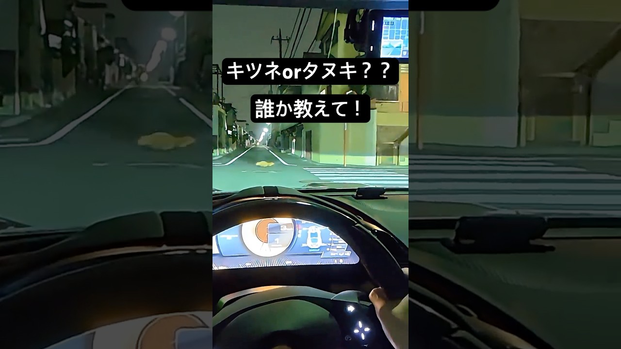 世田谷の住宅街で遭遇した動物とは？？#shorts  #ferrariroma