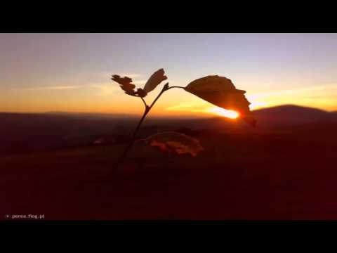 Masiv71 x Grubb - Nad ranem