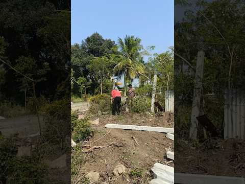 all complete tar finishing line press/all complete tar finishing line press reputation