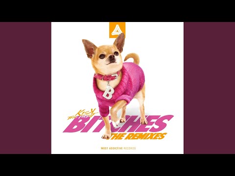 Bitches (Joe Zay Remix)