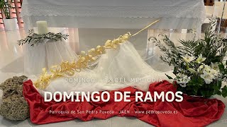 Misas del Domingo de Ramos