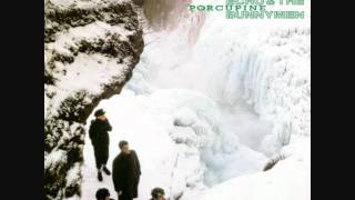 Echo The Bunnymen: My White Devil