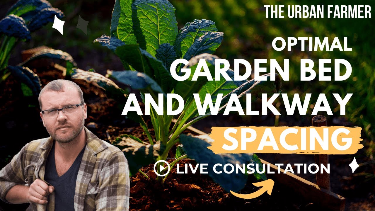 Optimal Garden Bed and Walkway Spacing - LIVE Q&A  LISTEN IN  - YouTube
