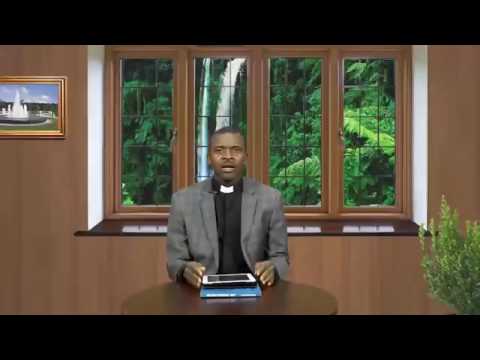 THE DAILY FOUNTAIN, AUGUST 4TH, 2017