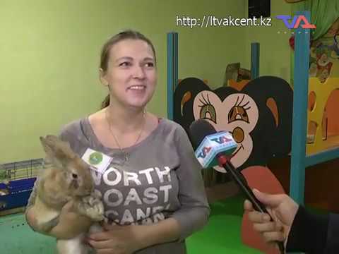 Выпуск программы «День» от 24 октября 2018г.