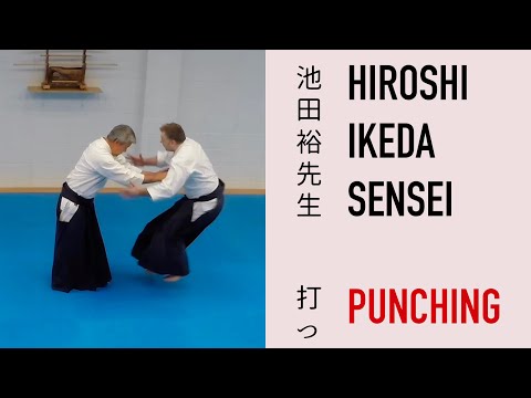 Ikeda Sensei hitting John using Internal Power
