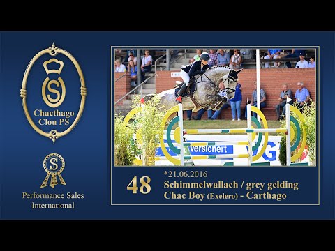 Cat. No. 48 Chacthago Clou PS