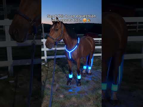 Comment “Horse” if you need this for your night rides😍🐴#equestrian #gallop #horse #usa