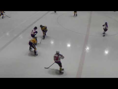 4. 2016 WSI U15 Czech Selects - Sweden Selects