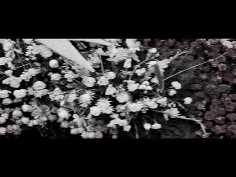 Elliott Smith - Rose Parade