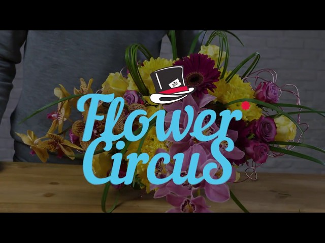 Flower Circus