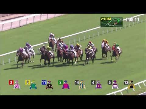 16/5/2021 (674) Fantastic Show- Dylan Mo