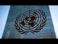 The UN has become ‘so comical’ it should start its own act: Alex Antic