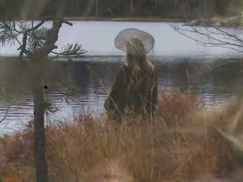 Aasma - Going Nowhere (Offical visualiser)