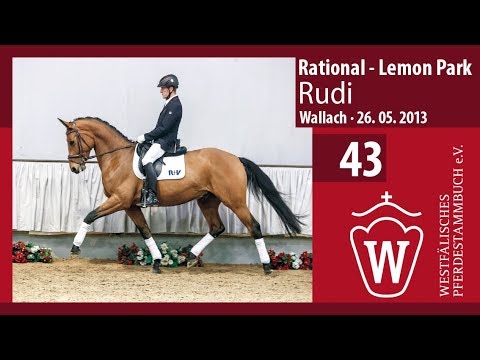 43 Rudi Wallach v. Rational - Lemon Park