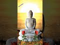 Dhamma Sakal Namo Buddhay Buddha Status Shorts