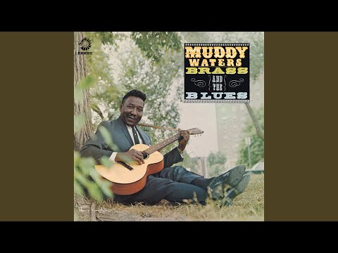 Sweet Little Angel - Muddy Waters