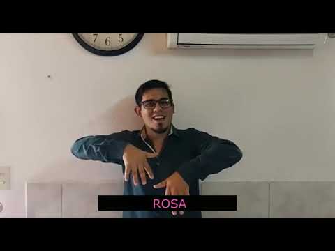 LSA - COLORES - Prof. Fabian Gervasoni