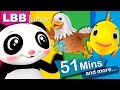 Nature Song And Lots More Original Songs From LBB Junior