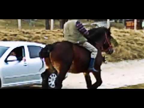 Calatorie  Cabana Padina - 2017