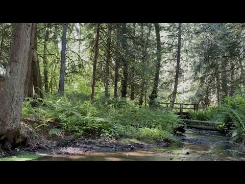 Fitness Blender 5 Day Challenge Day 1 Lower Body Strength Training