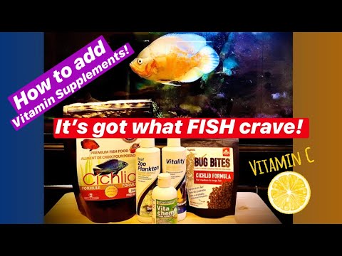 Vitamin Supplements for Your Fish