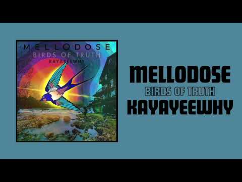 Mellodose x KayAyeeWhy - “Birds of Truth”