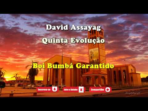 Quinta Evolução - Boi Garantido