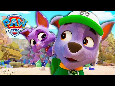 Rocky Meets a Junkyard Kitten! 😺 | Rocky's Cat-astrophe | PAW Patrol | Cartoons for Kids