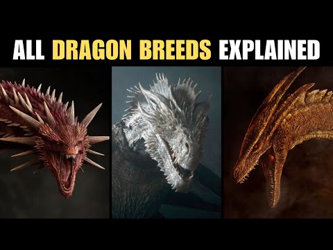 All Dragon Breeds in 'House of the Dragon' Explained