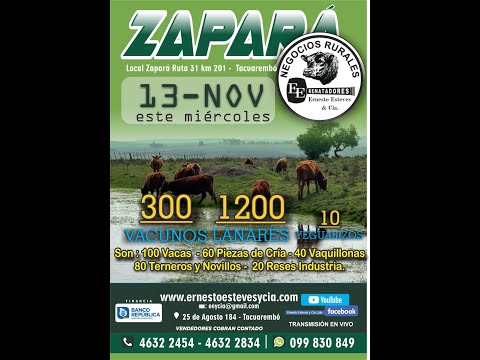 Remata Ernesto Esteves y Cia - Local Zapará Tacuarembó // 13 de Noviembre 2024