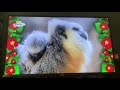 Baby Tv Bzzz